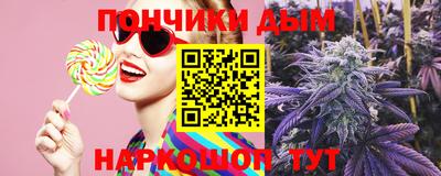 прущие грибы Нальчик