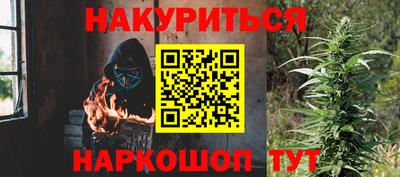 прущие грибы Нальчик