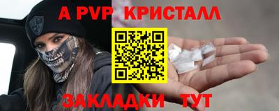 прущие грибы Нальчик