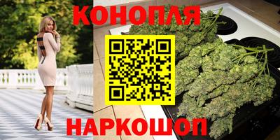 прущие грибы Нальчик