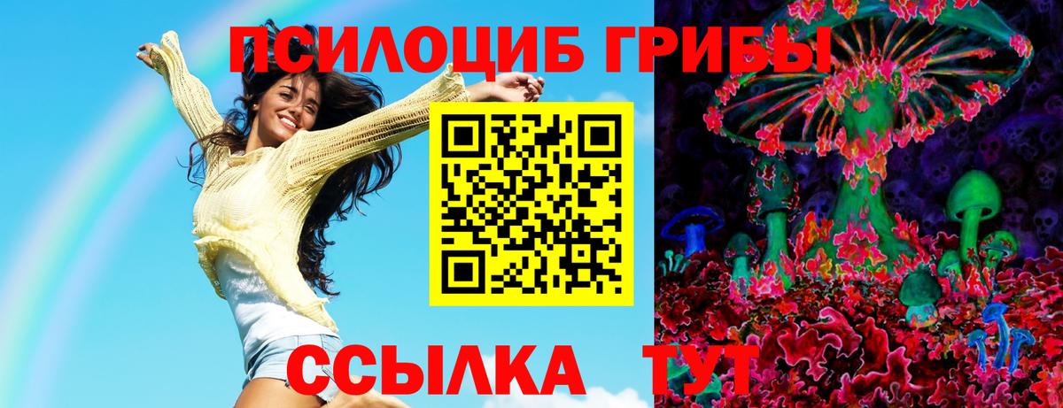 Галлюциногенные грибы мицелий Сегежа