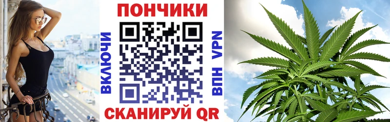 Бошки марихуана ГИДРОПОН  Сегежа 