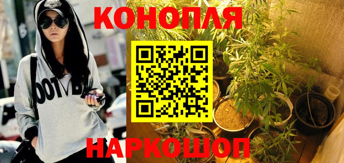 Бошки Шишки семена  Шишки марихуана марихуана  Сегежа  Вход с VPN  Бошки марихуана план 